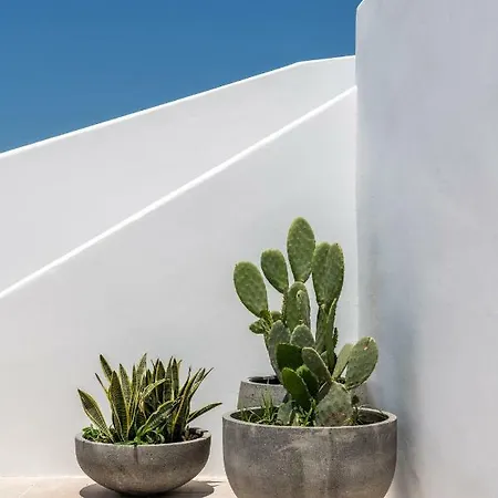 Avra Mykonos 3*