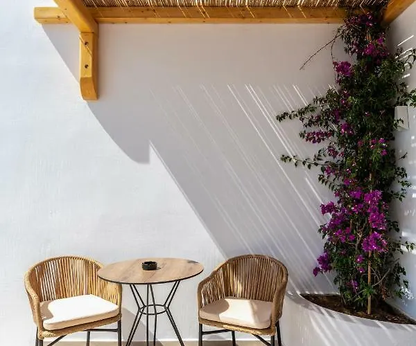 酒店 Avra Luxury Mykonos 3*