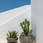 Avra Luxury Mykonos 3*