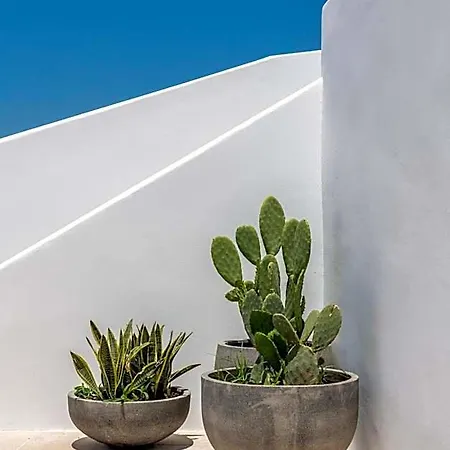 Avra Luxury Mykonos فندق تورلوس